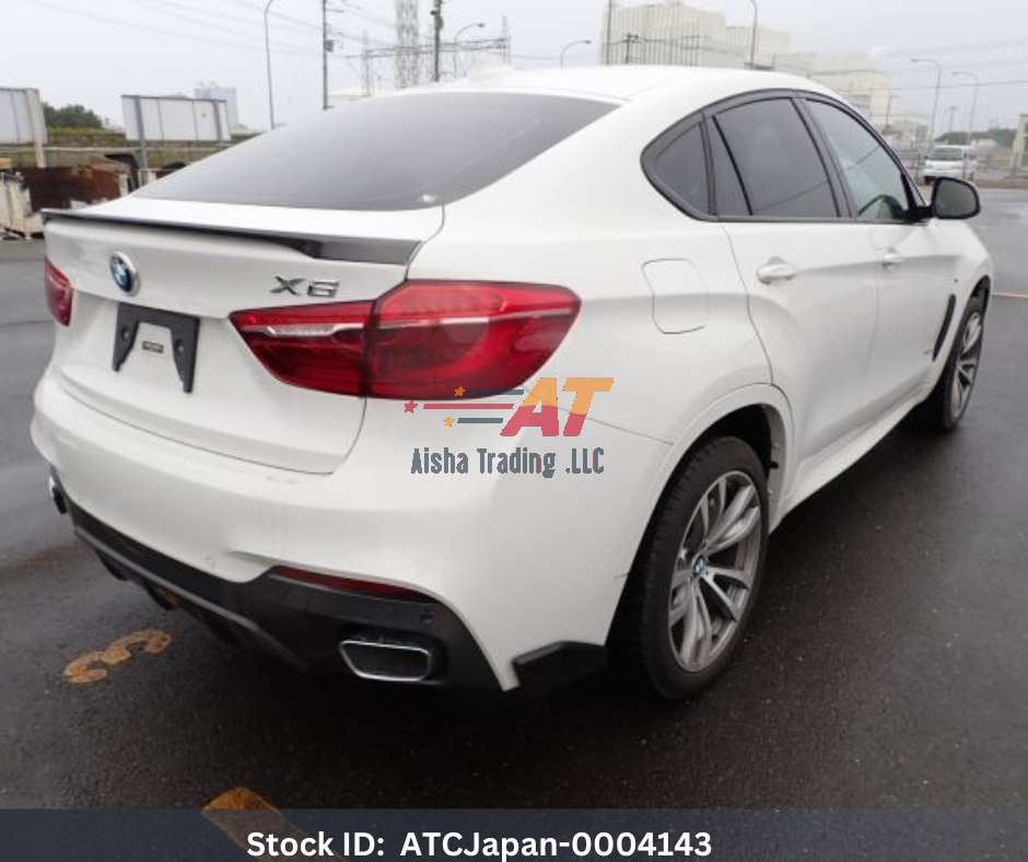 2018 BMW X6